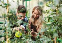 Writing for Television: An Insider’s Guide